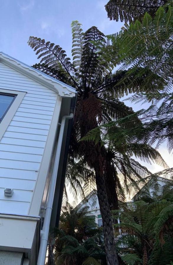 מלון דנידין Tiny House In The Sky מראה חיצוני תמונה